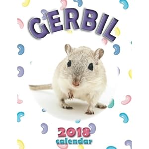 Gerbil 2018 Calendar (UK Edition)