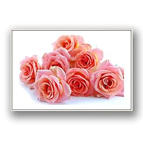 Framed Canvas Wall Art for Living Room, Bedroom Rose Flowers Canvas Prints for Modern Home Decoration Ready to Hang - 16"x24" inches