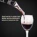 Wine Aerator Pourer