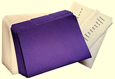 Daily/Monthly 43-Folder Tickler File with REINFORCED TABS, Purple and White