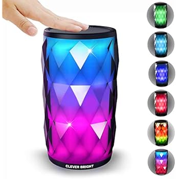 Amazon.com: CLEVER BRIGHT Portable Bluetooth Speakers