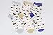 Pomlia Women's Haute Dachshund Dog Socks Casual Crew Socks Animal Cute Socks Gifts for Women