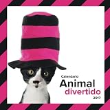 Image de Calendario animal divertido 2017 (Spanish Edition)
