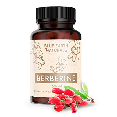 All Natural Berberine HCl 500mg Supplement - Magnesium Stearate Free - Blood Sugar Metabolism Support - Effective Immune System Booster - 120 Vcaps