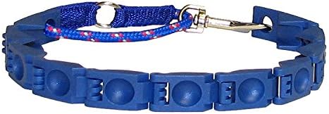 CHENRUI Perfect Dog Command Collar