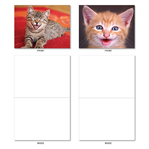 Kitten Themed Note Cards (Box of 10) - Assorted Cat 'Smitten Kitten' Blank Greeting Cards with Envelopes - Adorable All Occasion Cat and Animal Stationery 4 x 5.12 inch - NobleWorks M6485OCB - Thumbnail 2