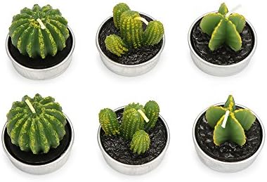 Cactus Candles Sunsbell Decorative Tea Light Candles 6 Pcs, 3 styles for Home Party Birthday Wedding Decoration