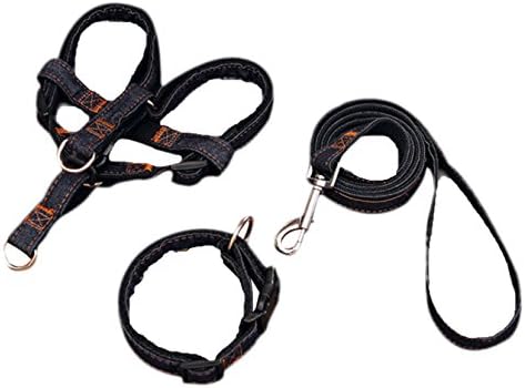 Freerun No-Pull Dog Leash Harness Callor Set,Adjustable Heavy Duty Denim 3 in 1 Set for Large/Medium/Small Pet Training &amp; Everyday Walking - Black, L