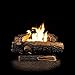 Sure Heat Mountain Vernon Oak Vent free Dual Burner Log Set for Natural Gas Fueled Fireplace, 24-Inch (Includes 6 logs)