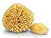 Real Sea Sponges for Babies - 2 Pk Bath Care Set, Gentle, Kind on Skin, for Bathing Washing Body Eyes & Ears, Also for Newborn Toddler & Kids; Baby Shower Spa Gift by Contented Infant®