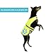 SafetyPUP XD Dog Reflective Vest – Hi-Vis Fluorescent Visibility That Helps to Safeguard Your Pet On/Off Leash in Urban & Rural Areas (Yellow, X-Small)