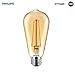 Philips LED Amber Glass ST19 Dimmable Vintage Filament Light Bulb: 350-Lumen, 2000 Kelvin, 4.5-Watt (60-Watt Equivalent) E26 Base, Amber, 1-Pack
