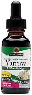 Natures Answer Yarrow Flowers, ORGANIC, 1 OZ (Pack of 15)