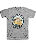 Despicable Me 2: I'm Kind Of A Big Deal Mens Gray T-Shirt