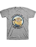 Despicable me Minion Big Deal Men’s Heather Grey T-shirt XL, Online Clothing Store