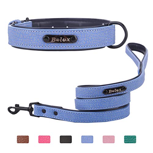 Soft Touch Dog Collar with Leash, Luxury Leather Pet Basic Collars for Small Medium Large Dogs (Blue, L)