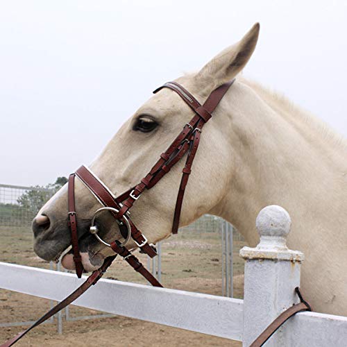 Best Miniature horse driving harness bridle (February 2020) ★ TOP VALUE