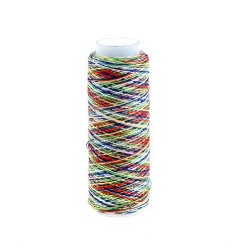 DINGJIN 10 Pcs Rainbow Color Sewing Thread DIY Embroidery Sewing Yarn Knitting Thread (Each 120 Yards)