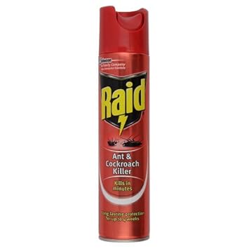 Raid Ant And Cockroach Killer 300ml Amazon Co Uk Prime Pantry