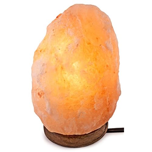 Himalayan Salt Lamp Amazon