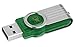 Kingston Digital 64GB Data Traveler 101 G2 USB 2.0 Drive, Green (DT101G2/64GB)