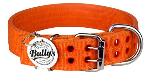 Pitbull Collar, Dog Collar for Large Dogs, Heavy Duty Nylon, Stainless Steel Hardware (Medium-1.5 Inches Wide, Orange Juice)