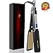 Flat Iron Hair Straightener Professional Nano-Titanium 449F 1.75 Inch Salon High Heat Anti Frizz LCD Dual Voltage BLACK XL CHERMEL