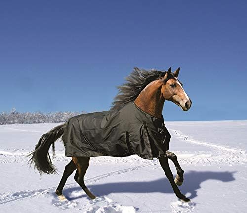 Eurori Fairbanks Ding Winter Design 100 g, black, 135 cm