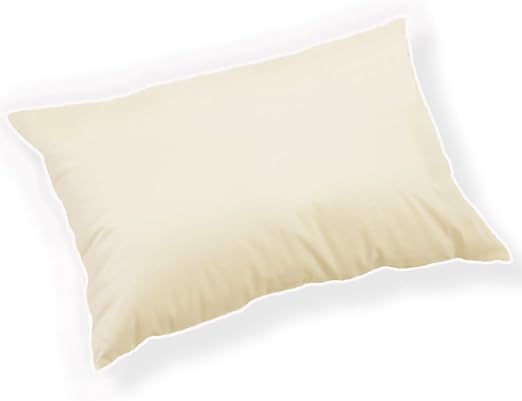 All About Down Travel Pillow with 800 