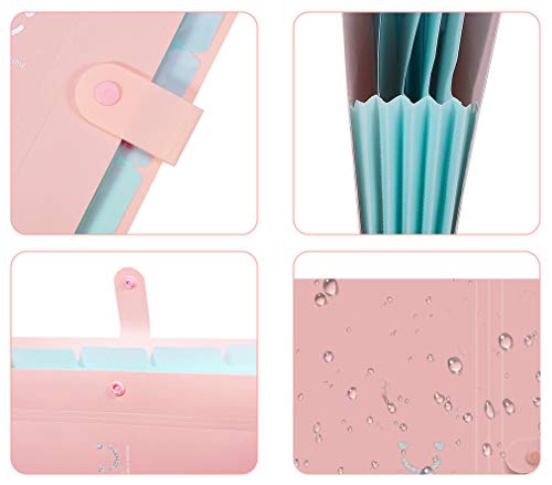 Selizo 6 Pcs Expanding File Folder with 5 Pockets Document Organizer Plastic A4 Size and 168 Pcs File Folder Labels for School Teacher and Office