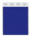 PANTONE SMART 19-3952X Color Swatch Card, Surf the Web