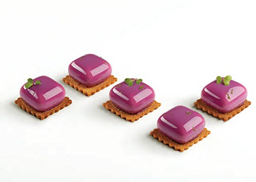 Pavoni Pavoflex Silicone Baking Mold Freezing Mould, 