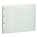 Wilson Jones G1010 Accounting Sheets, 10 Column, 9-1/4 x 11-7/8, 100 Loose Sheets/Pack, Green