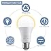 Elfeland Motion Sensor Light Bulb Dusk to Dawn 7W Radar LED Smart Light Motion E26 Base 6500K LED Light Bulbs Indoor Outdoor Auto On/Off Smart Bulb White Night Lights(4 Pack)