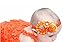 Roewell Baby's Headbands Girl's Cute Hair Bows Hair bands Newborn headband (9 different style bows)