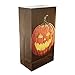 LumaBase 48124 Bags Paper Luminarias, Jack O' Lantern