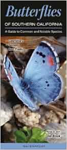 Butterflies Of Southern California A Guide To Common