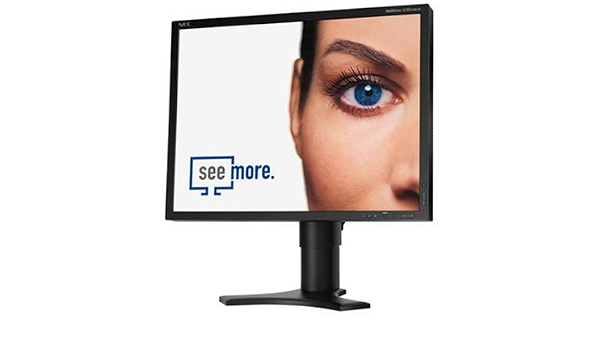 NEC Multisync LCD2190UXI 21\