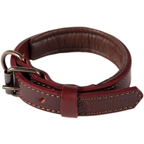 Logical Leather Padded Dog Collar - Best Full Grain Heavy Duty Genuine Leather Collar - Brown - Small