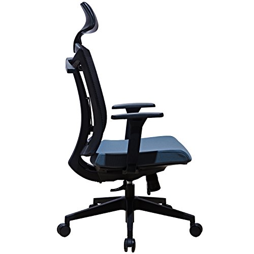 LSCING Ergonomics High Back Breathable Mesh Office Chair with Coat