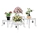 Metal Plants Stand Flowerpot Holder Iron Art Pot Holder, AISHN Flower Pot Supporting Indoor Outdoor Garden Pack of 4pcs with Different Size primary