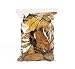 Magnolia Leaf Litter (1 Gallon)