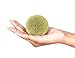 Zest Of Moringa Hair & Skin Care Set (Moringa Soap + Moringa oil + Moringa Shampoo & Conditioner) | 100% Natural Products | Look and Feel Amazing Every Day