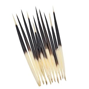 Ynuth 10pcs Epines De Porc-épic Porcupine Quills Pour Fabrication De Pêches Bouées Flotteurs (10-12cm)