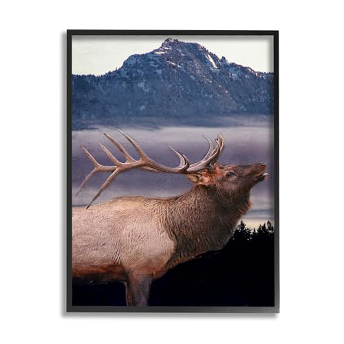 Stupell Industries Elk Mountain Landscape Framed Giclee Art by Kim Allen