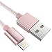 Syncwire Nylon-Braided iPhone Charger Lightning Cable - 3.3ft/1M [Apple Mfi Certified] Durable Sync&Charging Cord for iPhone Xs Max/XS/XR/X, 8 7 6S 6 Plus, SE 5S 5C 5, iPad iPod - Rosegold primary