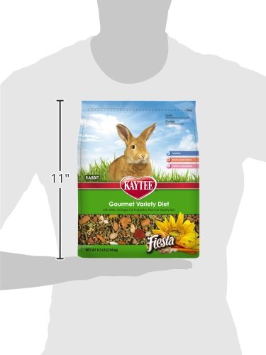 Kaytee Fiesta Rabbit Food, 6.5-lb bag