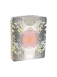 Papaya: Premium Spiral Notebook, Pretty Journal With Illustrated Paper, Quality Stationary Composition Book-106 Pages (Think In Magic)