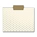 Cream and Gold File Folder Set