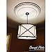 Ekena Millwork CM11HE2 Helene Ceiling Medallion, 11 7/8